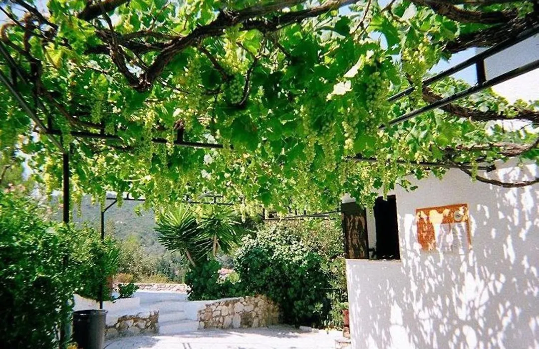 Villa Elpiniki-1